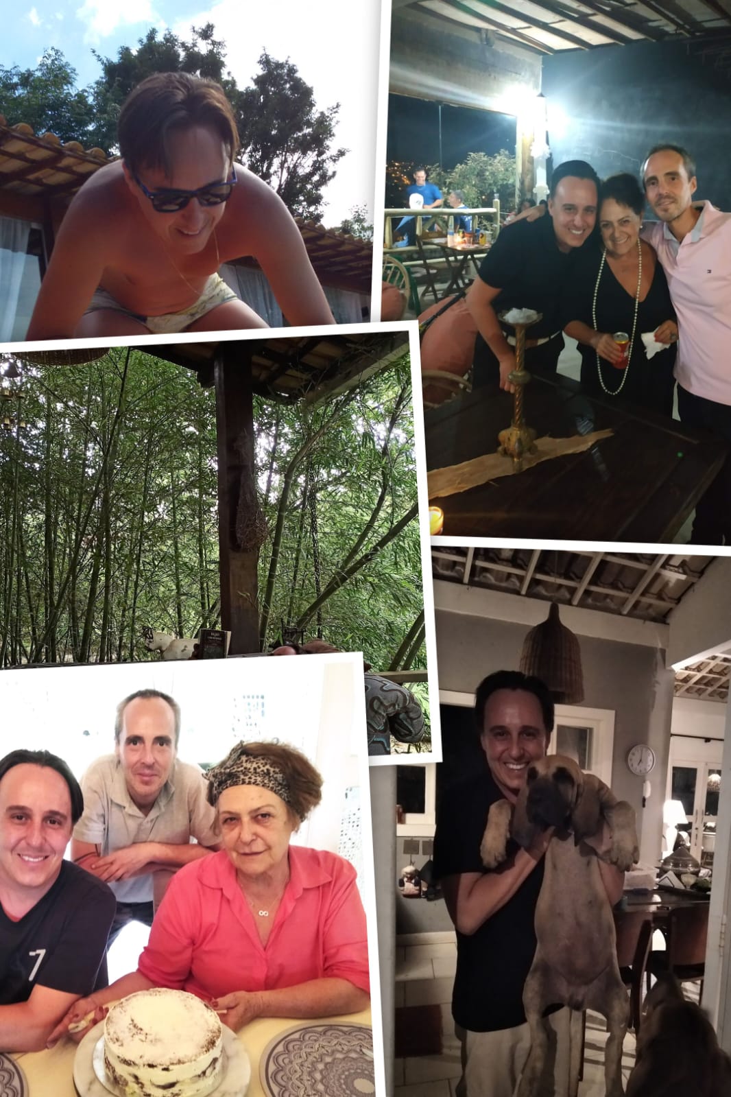 Colagem de momentos em família — viagens, aniversários, o cachorro, a varanda