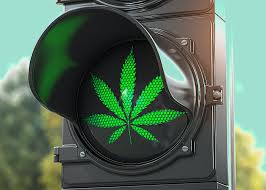 Maconha, (você tem que saber)