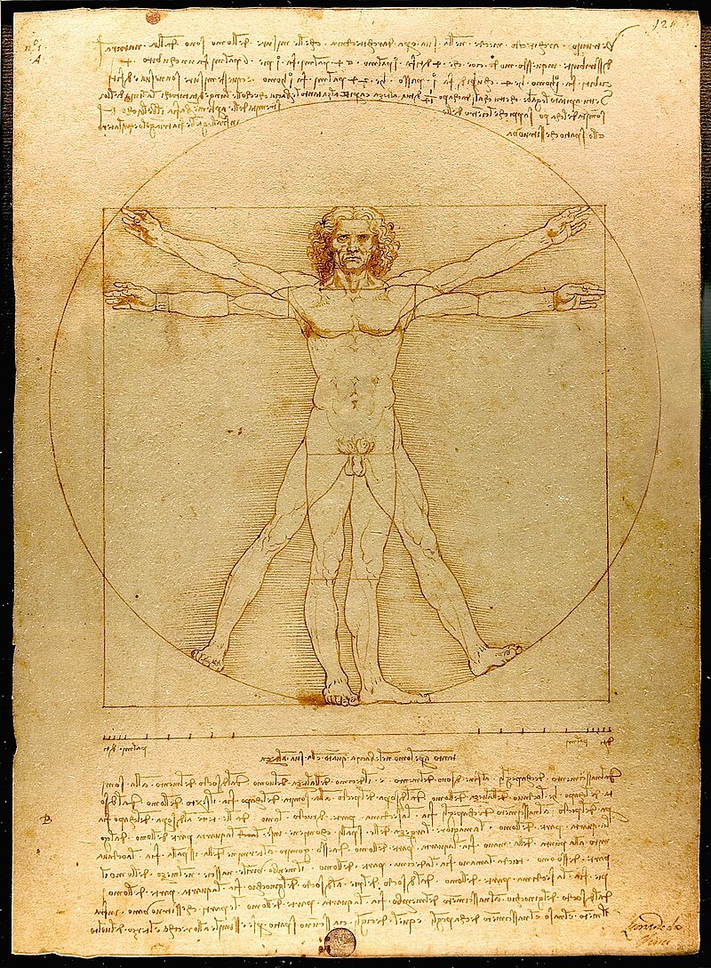 O Homem Vitruviano de Leonardo da Vinci, desenho que representa as proporções ideais do corpo humano